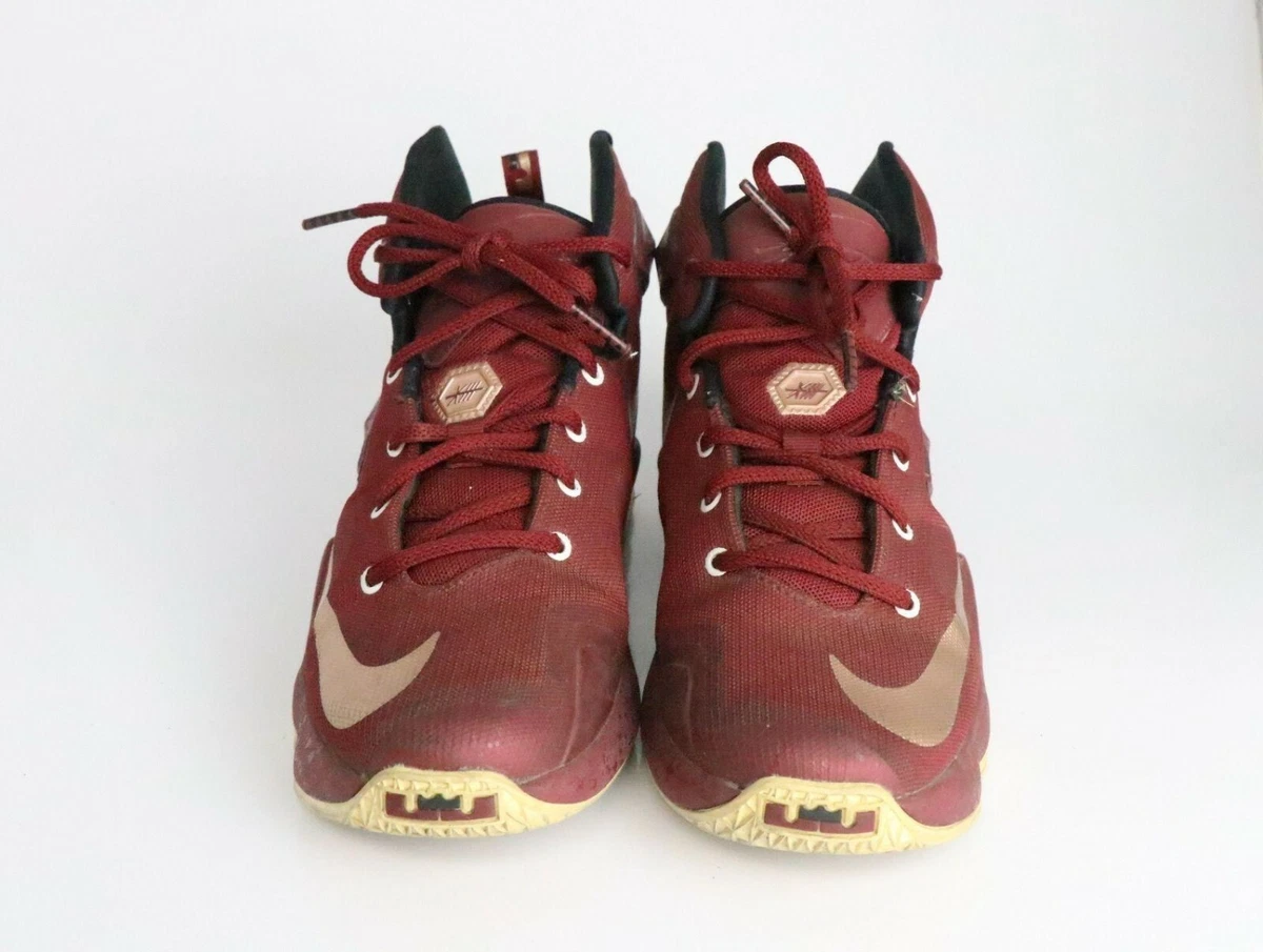 Burgundy lebrons shop