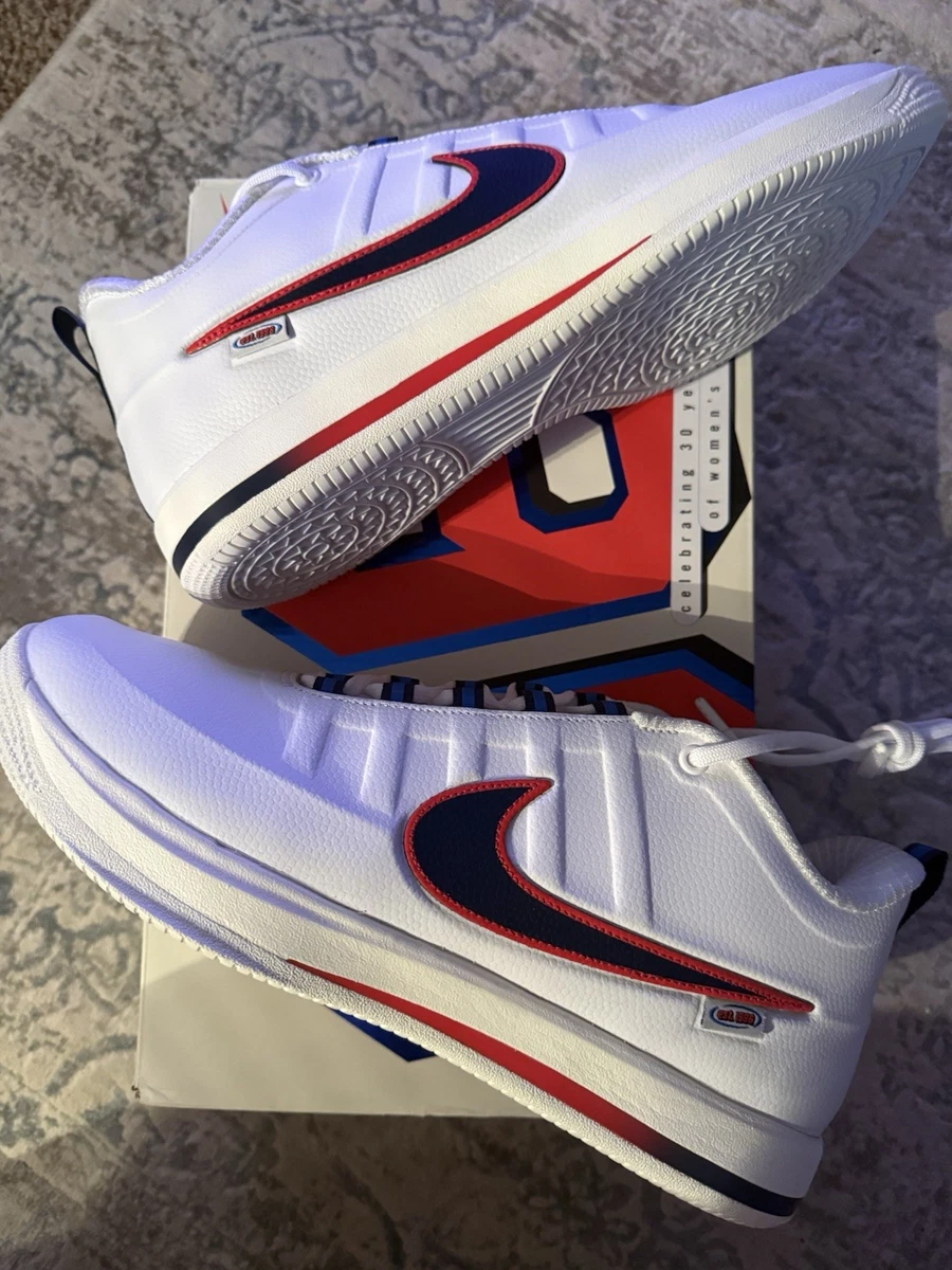 Nike Book 2 WNBA 30th Anniversary for Sale | Authenticity