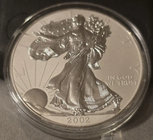 2002  Walking Liberty American Eagle 1 oz Fine .999 Silver~One Dollar.