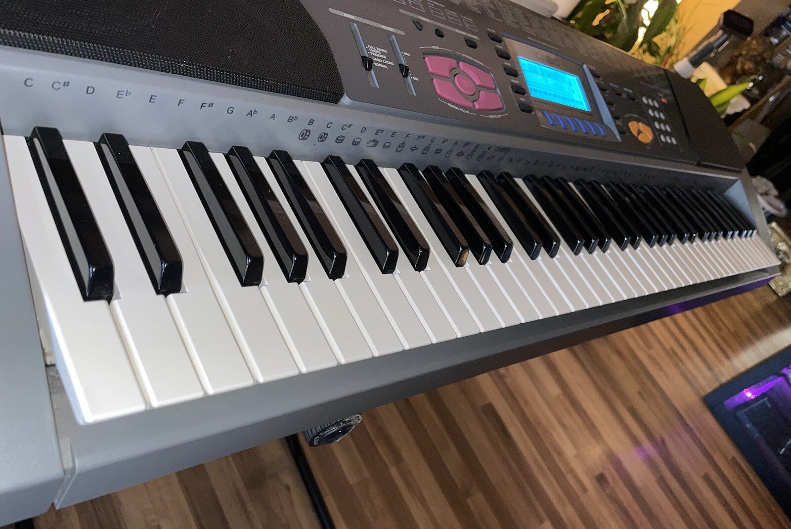 Casio 76 Key Electronic Keyboard (Model: WK-1200) | eBay