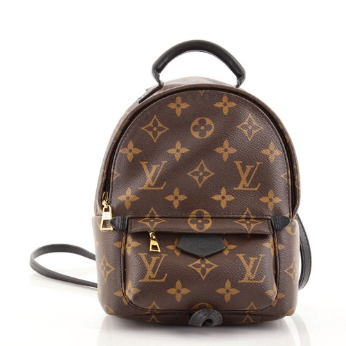 Louis Vuitton Palm Springs Backpack 