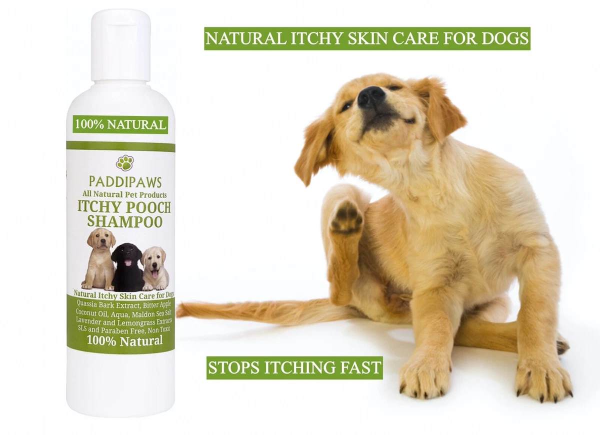 Sea Salt Skincare For Pet, Best Itch Relief Spray For Dogs