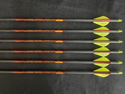 Black Eagle Outlaw Fletched 500 Arrows 1/2dz BRAND NEW