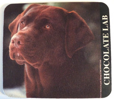 Chocolate Lab Labrador Retriever Brown Dog Computer Mouse Pad NEW UNUSED