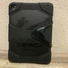 Picture 2 of 4