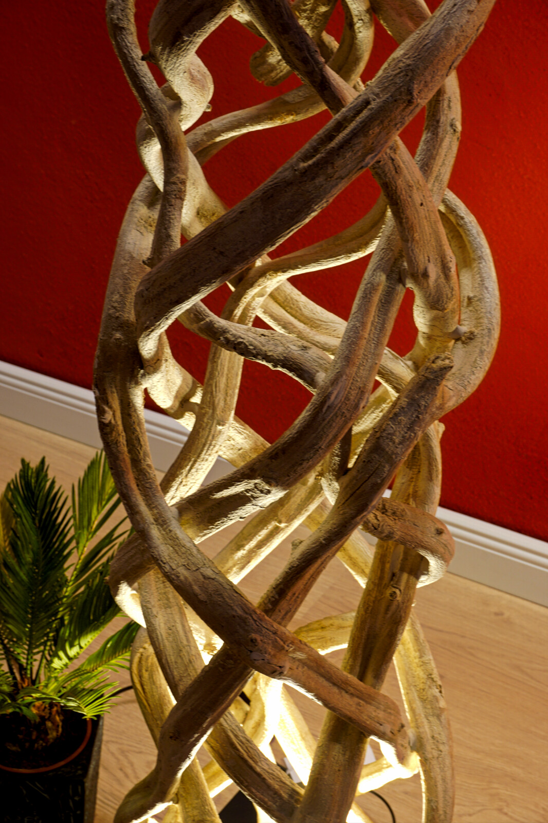 Picture 5 of 6