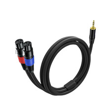 1 Pack 3.5Mm TRS to 2 XLR Cable, 3.3 Foot, Unbalanced 1/8 TRS Male to Dual XLR F