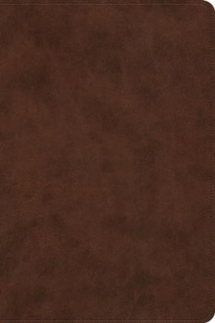 ESV Holy Bible (Leather / fine binding)