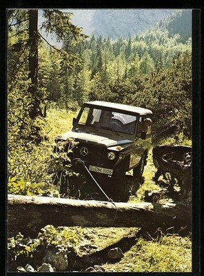 Mercedes Benz 240 GD in a sunny clearing, postcard 