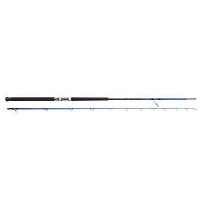 Savage Gear SGS6 Shore Jigging 10" / 3,05m MF 30-100g MH Salzwasser Spinnrute - Bild 1 von 4