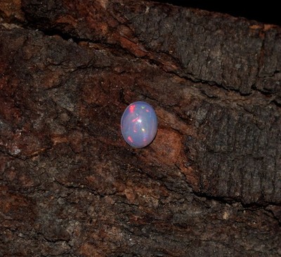 Natural Ethiopian Wello Fire Opal Cabochon Gemstone 7×9mm Loose AAA A01