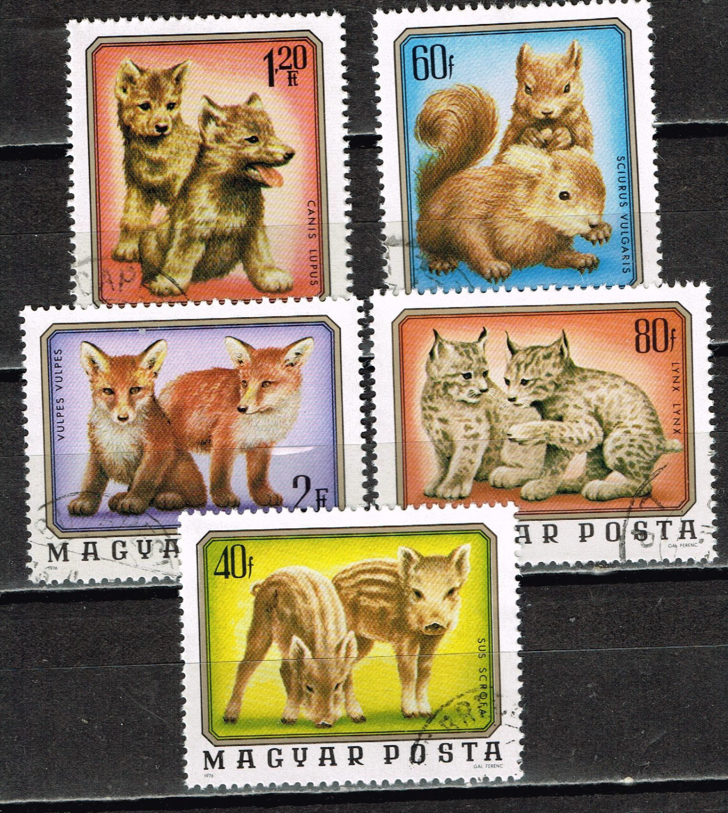 Hungary Fauna Young Wild Animals set 1974 B-6 | eBay