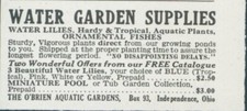 1931 Water Garden Supplies Lilies Plants Fish Catalog Offer OBrien Ad BH3