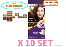 DARIYA SALON DE PRO FOAM HAIR COLOR EXTRA RICH FOR GRAY HAIR 4P PURE BROWN X 10