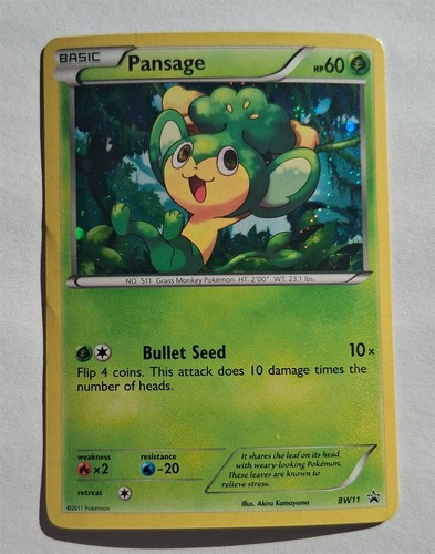 Pokemon - Pansage - Black & White Promo BW11 - Holo - NM