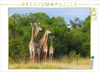 Calvendo Puzzle South African Giraffes, Okavango Delta, Botswana. | 1000 Pieces,