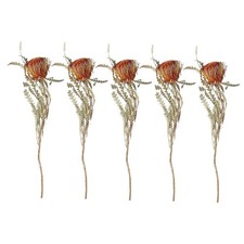 5 St&uuml;ck getrocknete Blumen Blumenstrau&szlig; Heimdekoration Dekorationspflanze