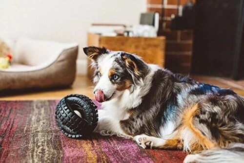 Pet Qwerks Jingle X-Tire Ball Dog Toy - Rugged Tires with a Jingle Ball in the