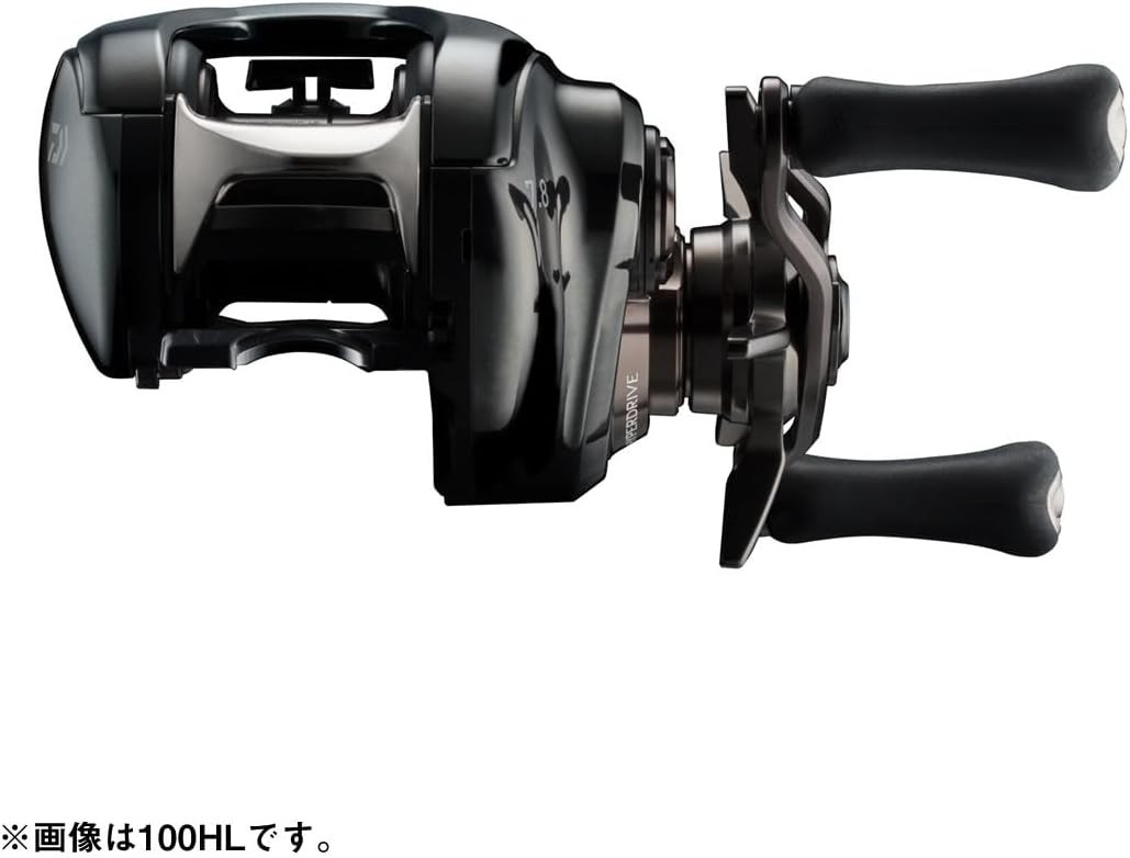 Daiwa 24 STEEZ SV TW 100HL Baitcasting Reel Left Handed New | eBay