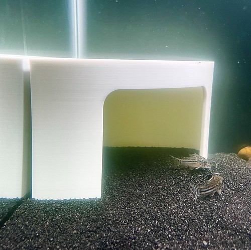 Aquarium Corner Cave Hideout Axolotl Cichlid Cave Fish Tank Accessories Supplies - Picture 2 of 6