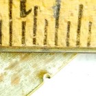 Bild 8 von 8
