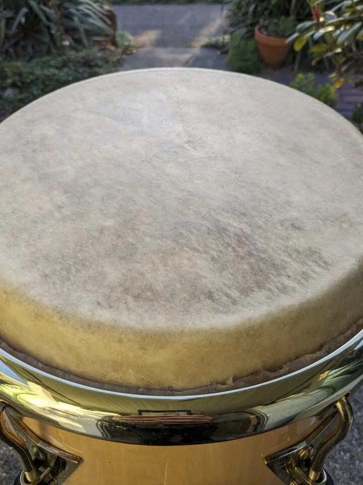 LP Classic Conga, Tumbadora, Quinto | JCR Mule Skins | 3 soportes Gibraltar Foto 2 de 4