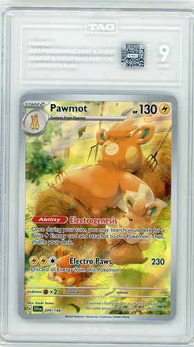 Pawmot graded TAG 9 for sale on eBay