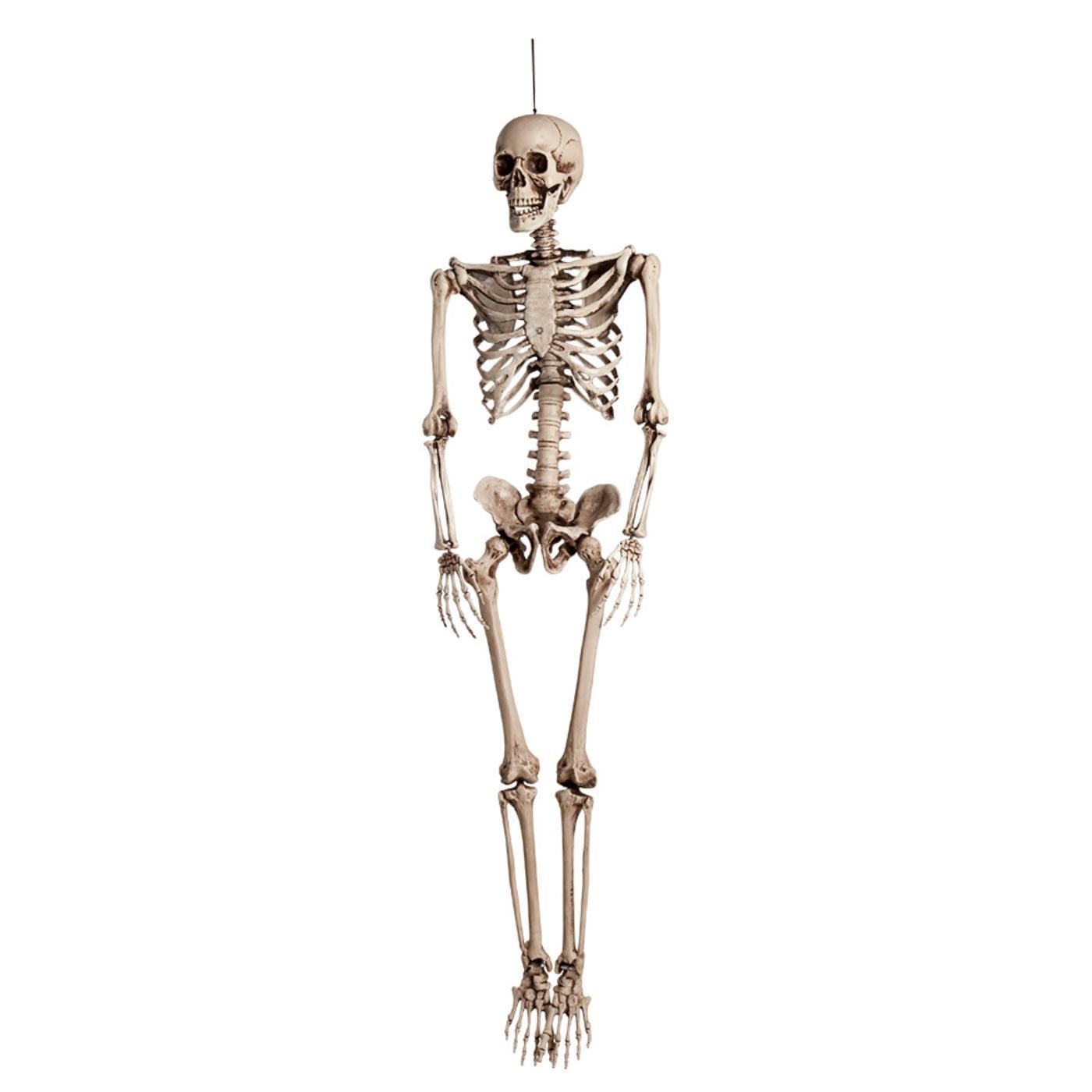 Boland - Skeleton Hanging Decoration