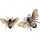 Afbeelding 3 van 6