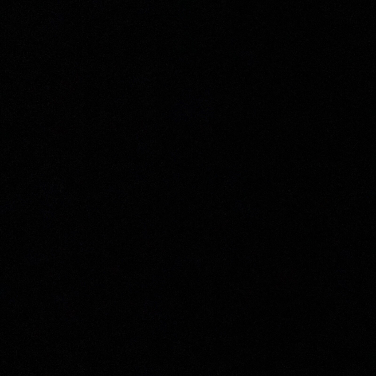 Panda Dunks - image 4