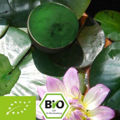 1kg Bio-Chlorella Pulver - 100% Bio zertifiziert + Analyse - 1000g - kbA