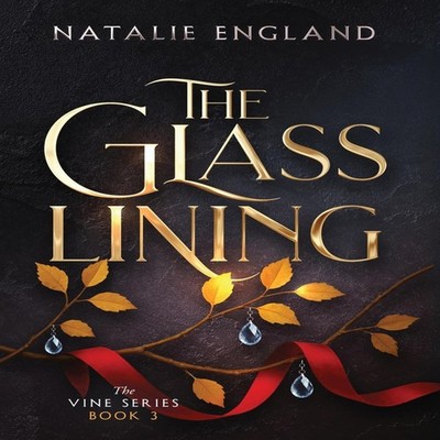 The Glass Lining Natalie England Hardcover Natalie England