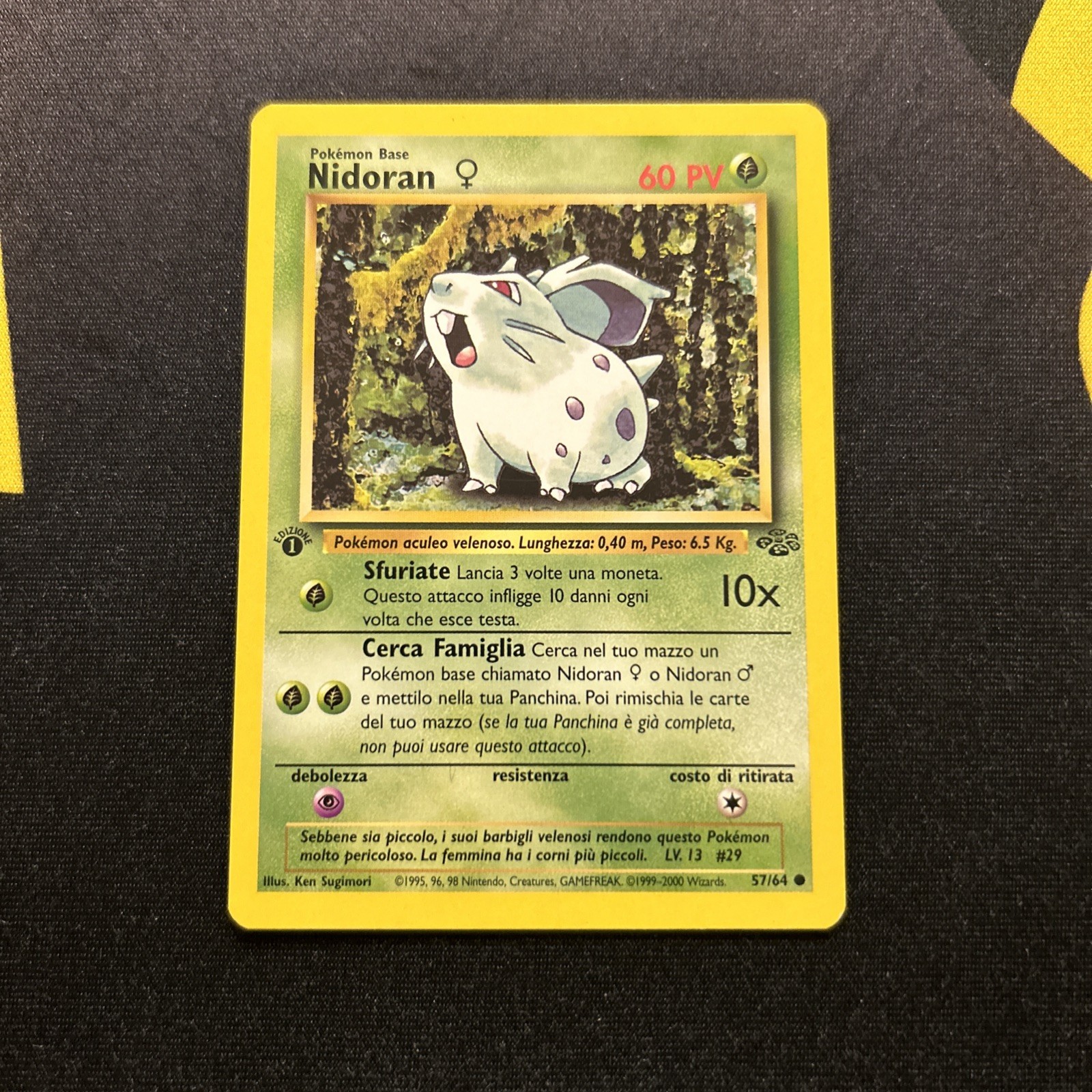 1ST EDITION Nidoran 57/65 Italian NM -Vintage Pokemon Card- Jungle Set (7q)