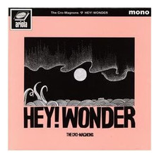 HEY! WONDER: The Cro-Magnons Used 1