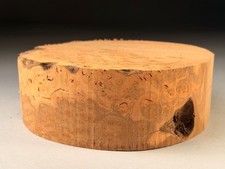 Burr Elm Wood Turning Bowl Blanks 8x2.5 inch 1.4 KG