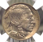 1913 "P" Indian Head BUFFALO Nickel *TYPE 1* 5c NGC MS65 #008 Gem BU ECC&C, Inc.