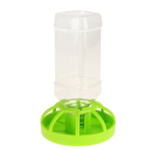 automatic tortoise feeder