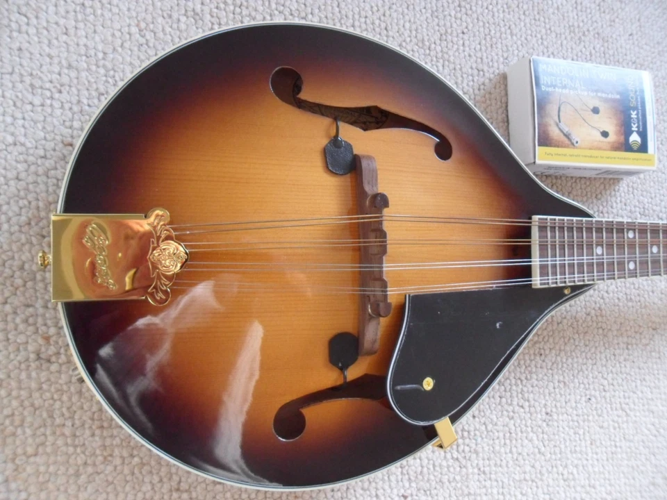 Ozark mandolin 2073 solid woods K&K pickups + gig bag - Image 3 of 4