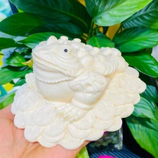 1LB Natural Genuine Tagua Nut Golden Toad Hand Carved Decoration healing 1pc