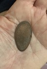 Souvenir Penny Elongated, Flattened, Vintage, Collectable Hilton Head Dolphin — photo 2