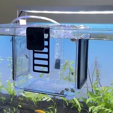 Acrylic Fish Tank Fish Breeding Isolation Box Clear Hanging Newborn Fry Breeder