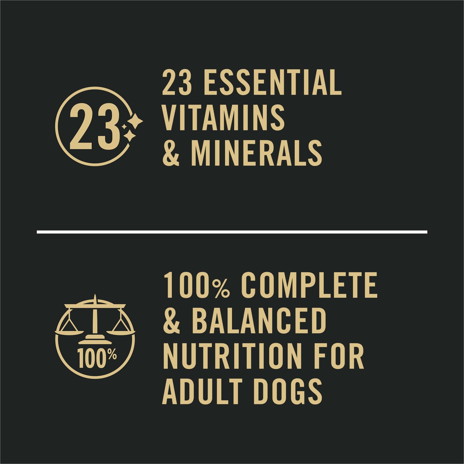Purina Pro Plan Sensitive Skin and Stomach Dog Food Wet Classic Pate Salmon a...
