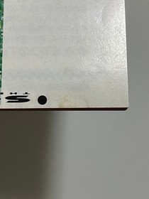 Sonic the Hedgehog CD Sega Mega-CD Japan