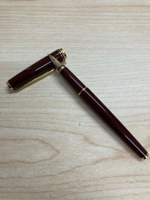 PILOT Fountain Pen K18 F Red Brown Body Rare Discontinued Model