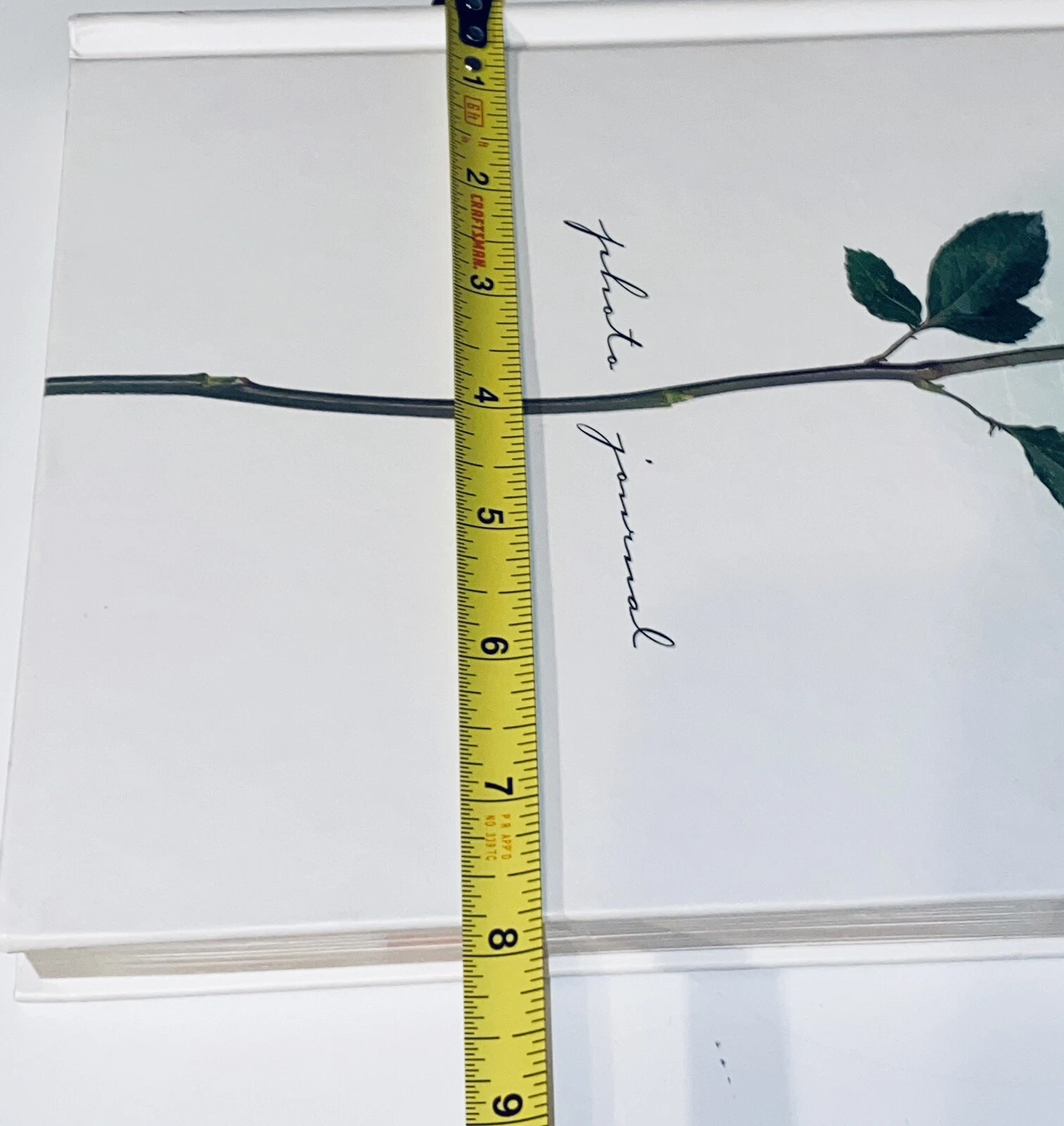 Picture 11 of 13