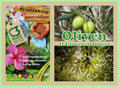 Olivendünger, Olivendünger, Olea Europea, Oelbaumdünger, Mediterranodünger 3 KG - Photo 1/4