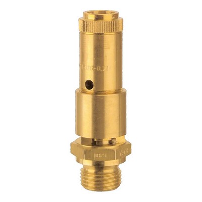 Riegler Sicherheitsventil Ventil DN 10 Messing G 1/2 Gas Druckluft TÜV 12 Bar