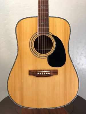 Blueridge Contemporary Series BR-70A Adirondack Top w/Gig Bag