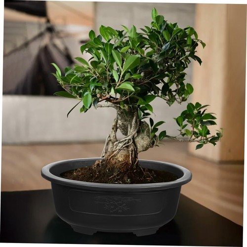 2pcs Large Bonsai Pot Plastic Planter Reusable Oval Bonsai Training Pots Plan... - Picture 6 of 9