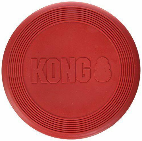 kong frisbee